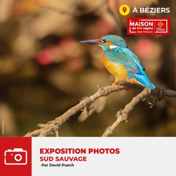 Exposition de photographie "Sud Sauvage" par David PUECH