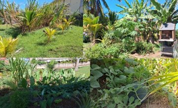 Rendez-vous au Jardin : Sainte-Marie s’éveille