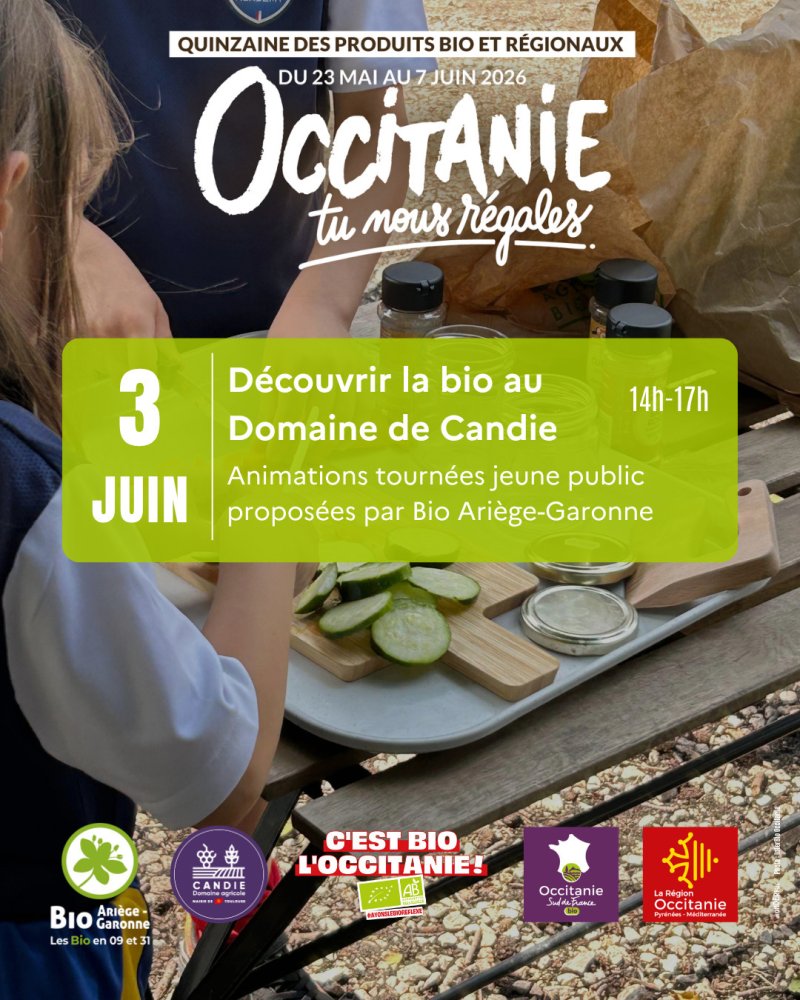 Animations enfants au Domaine de Candie