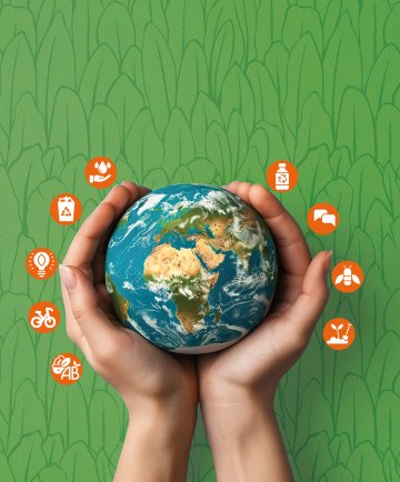 Journée du développement durable