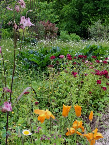 Visite du Jardin créagire