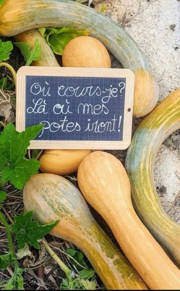Visite du Jardin Communautaire PLPA (des petits loups aux potes âgés)