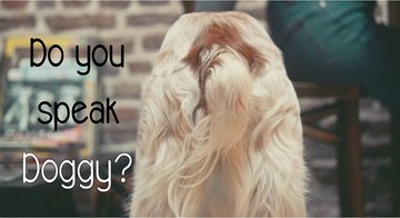 Conférence #2 "Do you speak Doggy?"