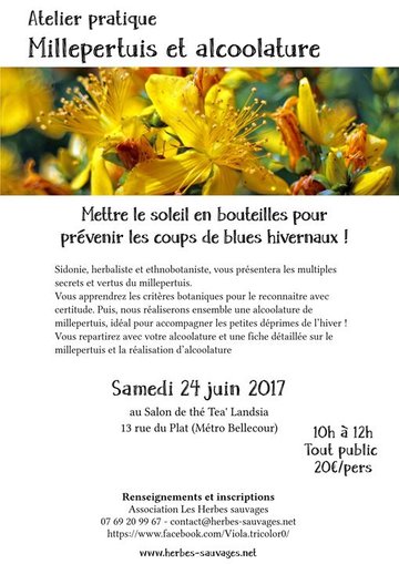 Atelier Millepertuis et alcoolature