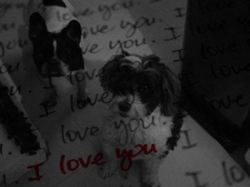 Ma belle Droopsy et mon Tekila d'Amour en Hommage