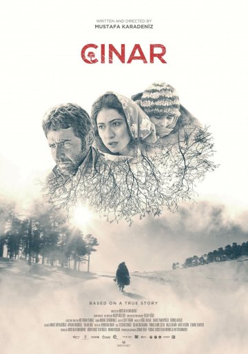"Çınar" (Platane)