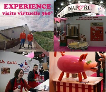 A la découverte du cochon !