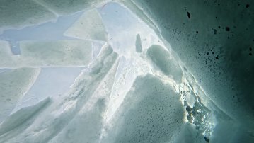 Exposition : Emmanuel Béhier-Migeon - Itinéraire, en quête d'artistes