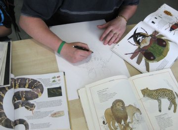 Dessins d’animaux imaginaire – Mathilde Magnan
