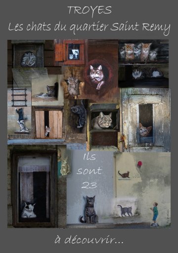 "Les chats de Troyes"