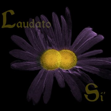 Chaire Laudato si’. Pour une nouvelle exploration de la terre