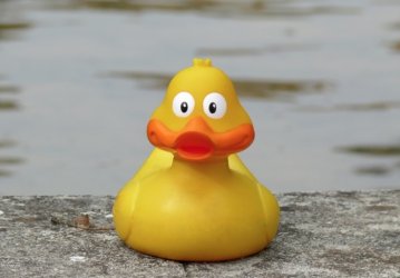 A la recherche des canards perdus, cartographie 1