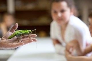 A la découverte du monde animal