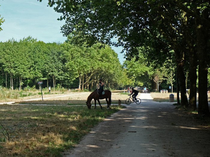 Balade au bois de Vincennes