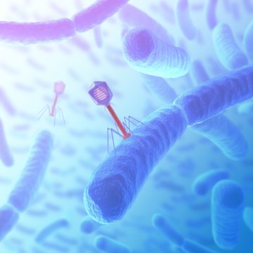 Virus, la frontière du vivant