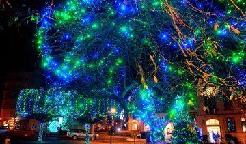 Visite guidée - Sous les lumières...