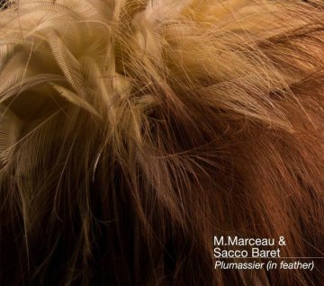 HAUTE VOLTIGE. Œuvres en plumes de Maxime Leroy