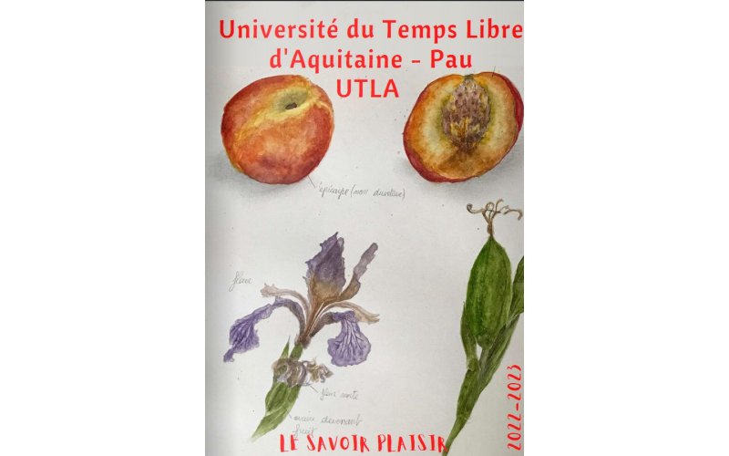 UTLA Conférence