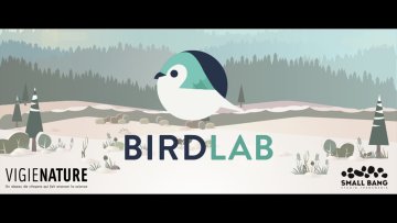 Birblab, l'appli qui fait avancer la science