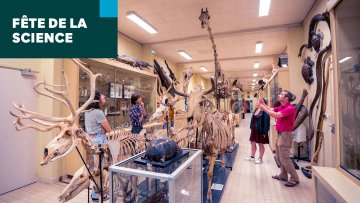 Visites des collections universitaires / Fête de la Science #FDS2023