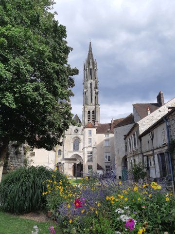 Journées Européennes du Patrimoine : Visite guidée découverte de Senlis