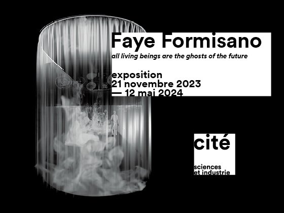 Faye Formisano, All living beings are the ghosts of the future