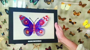 [COMPLET] Somptueux papillons - Atelier créatif