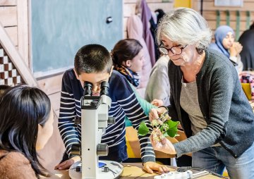 Coup d’œil sur les feuilles