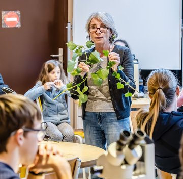 Coup d’œil sur les feuilles