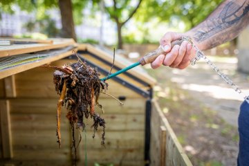 Café compost : les bases du compostage avec Au Ras du Sol