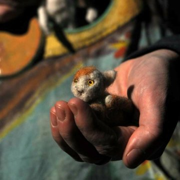 Petits chemins sur la peau