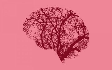 [Les Grands Débats] Sommes-nous en train de perdre la Terre ?
