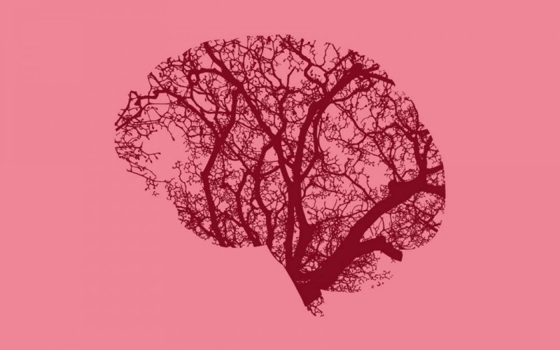 [Les Grands Débats] Sommes-nous en train de perdre la Terre ?