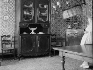 «Objets-frontières » et animalité