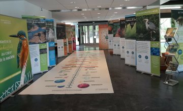 "La Biodiversité et nous"