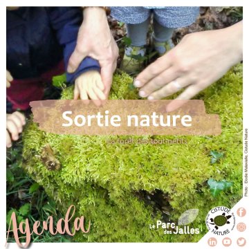 "Forêt des petits et tout-petits"