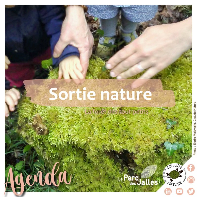 "Forêt des petits et tout-petits"