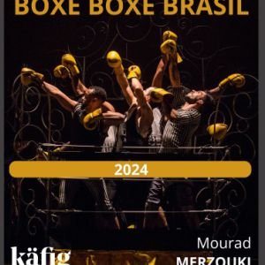 BOXE BOXE BRAZIL
