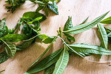 Atelier tisane