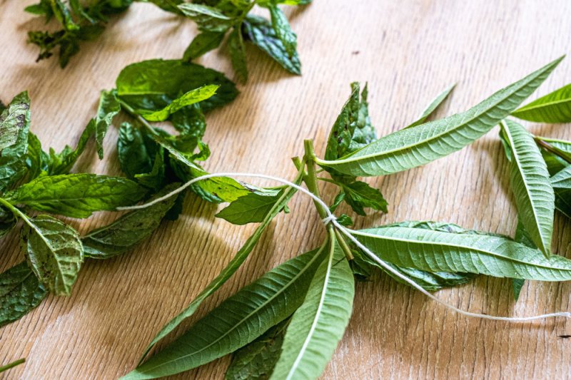 Atelier tisane