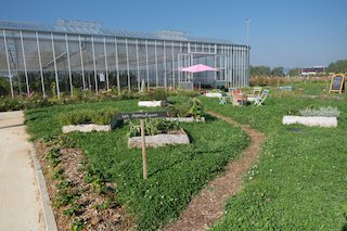 Atelier "semis de printemps" par Le Champ des Possibles et Triticum