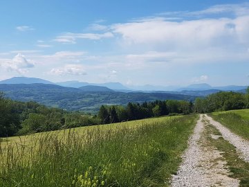 Balade à la découverte des plantes sauvages - panoramas et trésors sauvages à Charly d'Andilly (3h30)