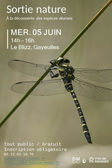 Sortie nature