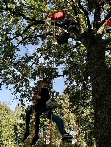 Animation Grimpe d'arbre