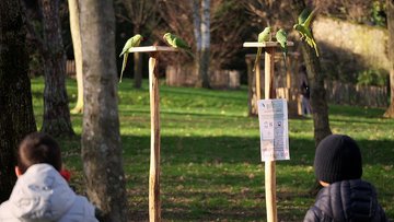 Participez à BirdLab