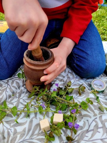 Stage Nature & Montessori, Issy-les-Moulineaux - du 6 au 10/7/26