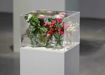 Exposition "Pollen"