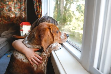 Comment les animaux prennent soin de nous ?