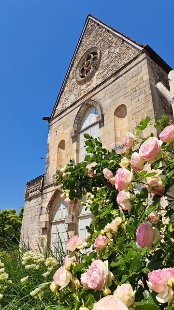 Visite guidée : "Senlis au temps des rois de France"