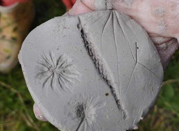 Balade nature parent-enfant : Artistes et bricoleur·euses en herbe
